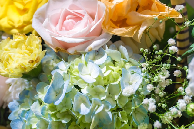 Score flower delivery for Mother's Day for less with promo codes from 1-800-Flowers and other flower delivery services!